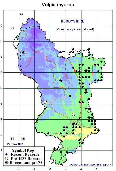 2 kilometre map image